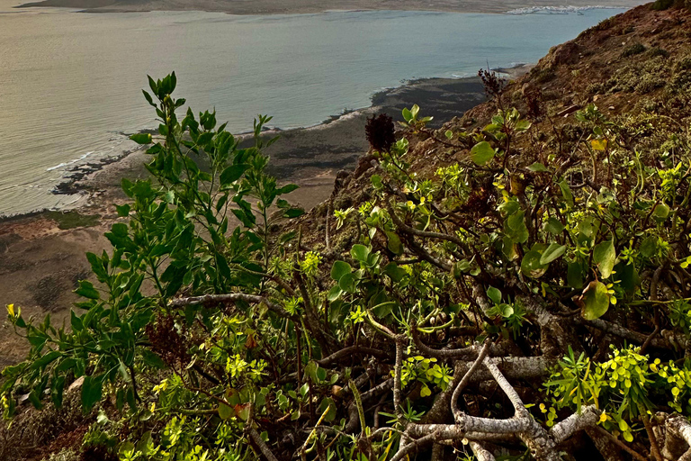 Magical Lanzarote: Northern Island Tour