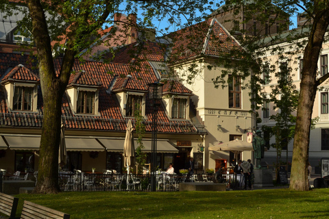 Oslo City Walk: Real Life, Raw Stories & Local Gems Tour in Italian