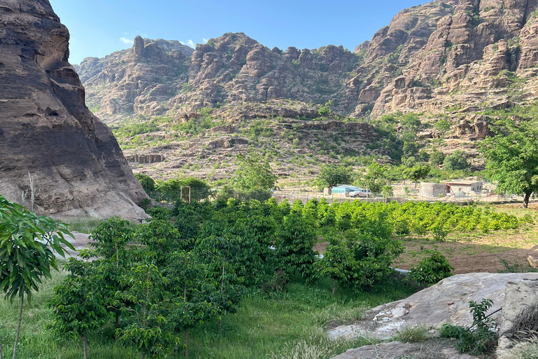 From Abha or Jazan: 3-Day AlReeth Adventure with Camping