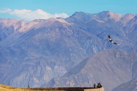 Colca Canyon 2 days, Arequipa with end to Puno