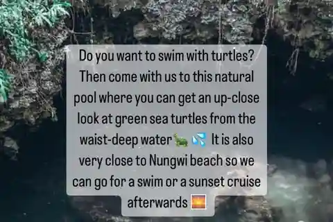 NADANDO CON TORTUGAS EN EL ACUARIO DE BARAKA