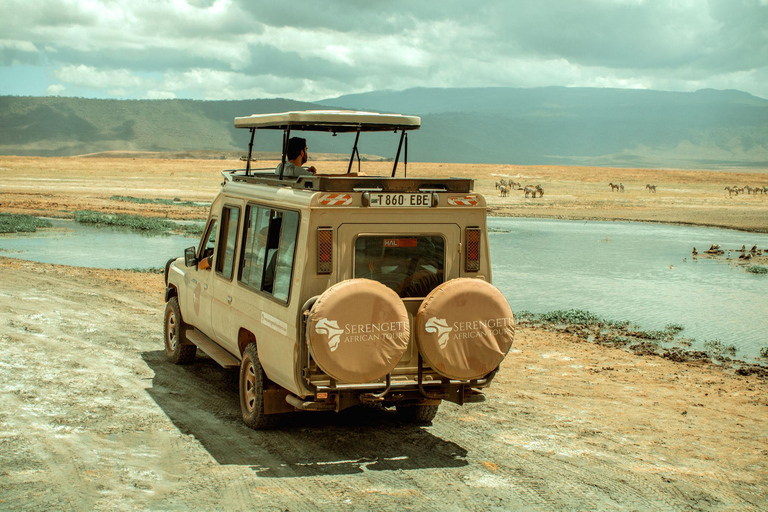 Arusha: Safari di 5 giorni nel Serengeti durante la stagione dei parti a NdutuArusha: Safari di 5 giorni nella stagione dei parti a Ndutu nel Serengeti