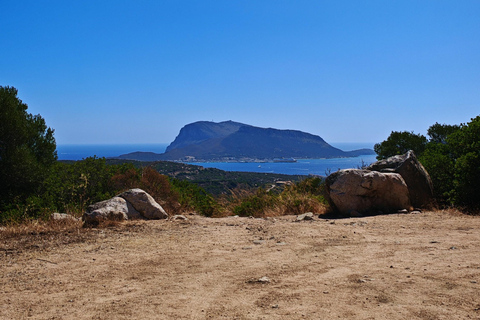 Costa Smeralda: Quad tour with views, the sea and adrenaline. Basic Quad Tour (2 people per quad)