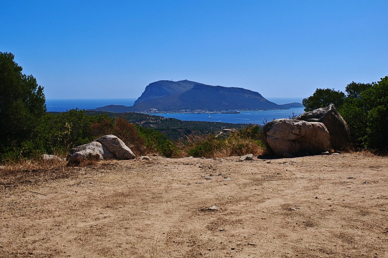 Costa Smeralda: Quad tour with views, the sea and adrenaline. Basic Quad Tour (2 people per quad)