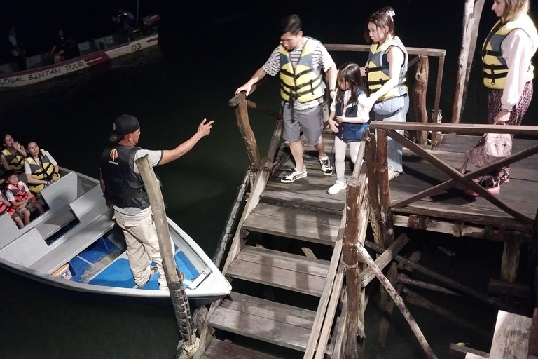 Bintan Tour Mangrove or Fireflies Fireflies Tour