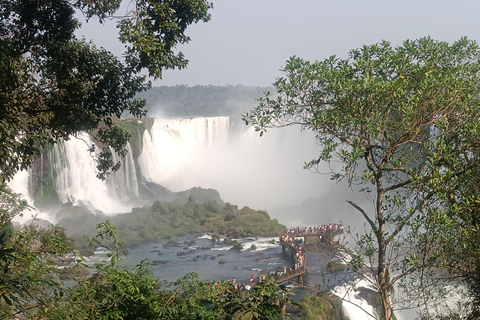 Desde Puerto iguazu- privado - cataratas de iguassu lado brasileño