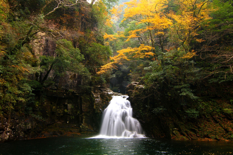 Osaka: Nara, Akame 48 Waterfalls & Tanzan Shrine Tour Shared Tour, Meet at Tsurutontan Soemoncho