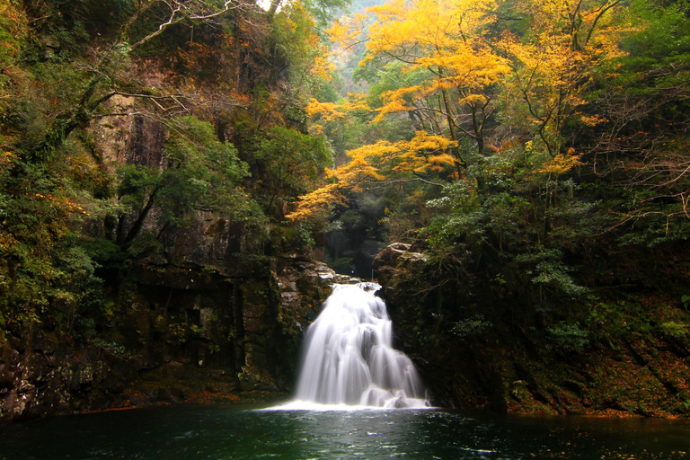 Osaka: Nara, Akame 48 Waterfalls & Tanzan Shrine Tour Shared Tour, Meet at Tsurutontan Soemoncho