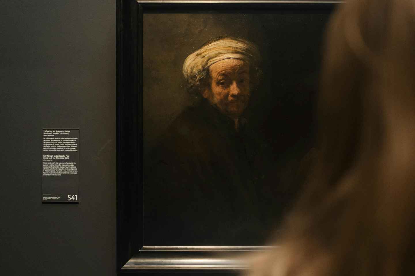 Amsterdam: Rijksmuseum Einkatúr með forgangsaðgangi