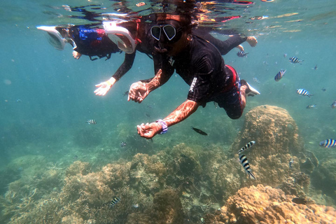 Phi Phi : Excursion d'une demi-journée à Phi Phi pour faire de la plongée en apnée en bateau à longue queue