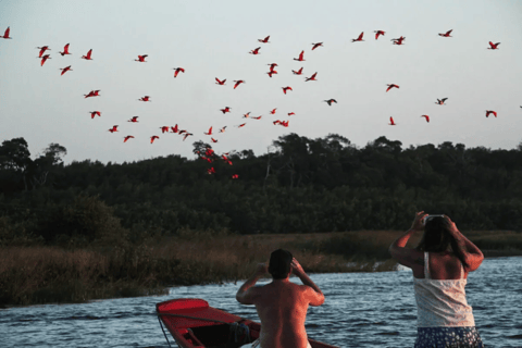 Maranhão: Rio Preguiças Sunset Kayak Tour with Guide