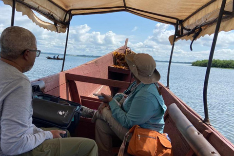 Entebbe: Private Mabamba Swamp Shoebill Birding Tour