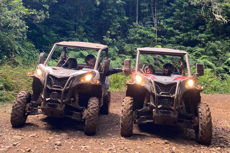 EXPÉRIENCE DE CONDUITE D&#039;UN BUGGY TOUT-TERRAIN