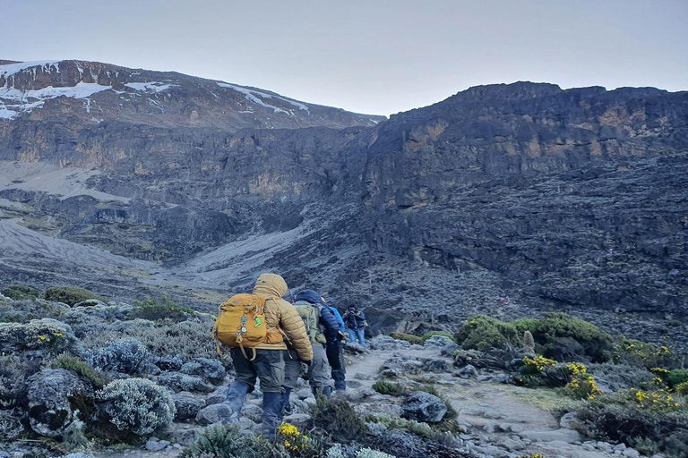 7 days Machame route Kilimanjaro Climbing Tour Package 7 days Machame route Kilomanjaro Group Tour