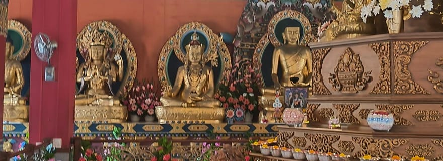 Mysore : excursion privée d'une journée à Bylakuppe et Nisargadhama