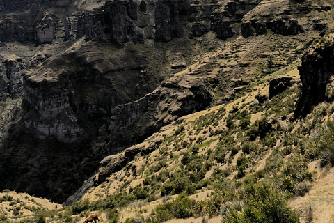 CUSCO: WAQRAPUKARA FULL DAY PRIVATE TOUR