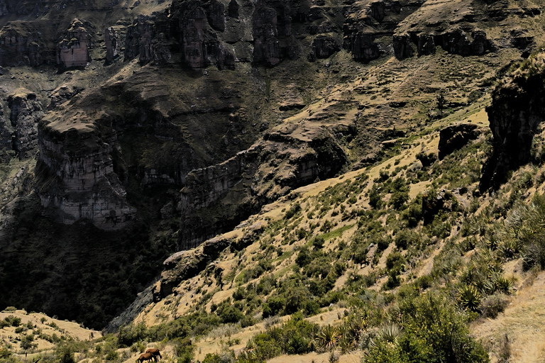 CUSCO: WAQRAPUKARA FULL DAY PRIVATE TOUR