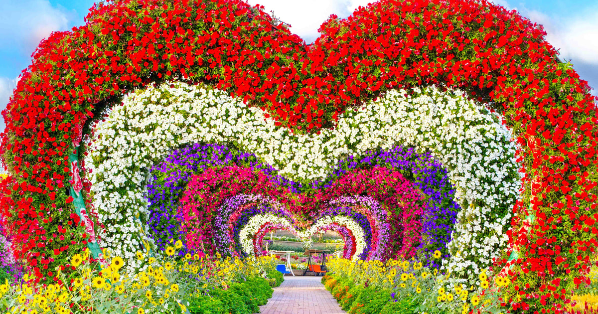 Miracle Garden Tickets with Roundtrip Transfer GetYourGuide