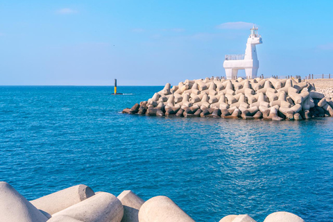 Jeju: UNESCO WestSouth & East Highlights 2 Days Combo Tour
