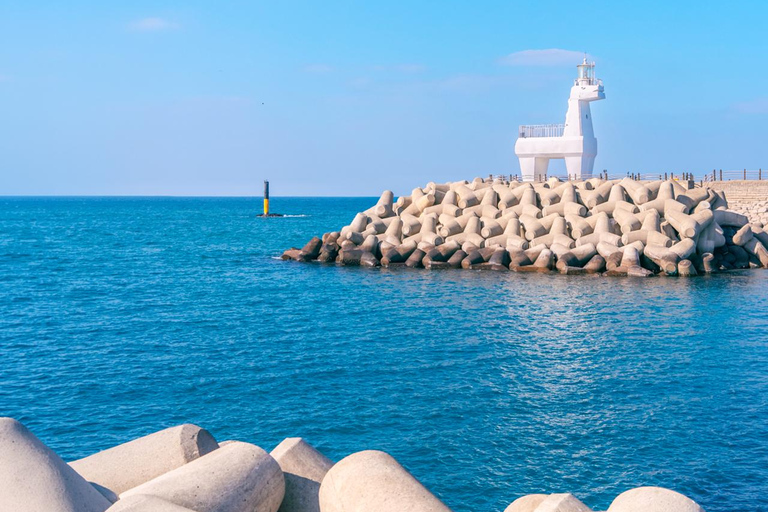 Jeju: UNESCO WestSouth & East Highlights 2 Days Combo Tour