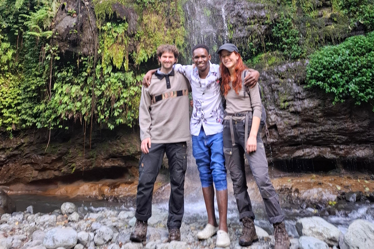Arusha: Napuru Waterfalls Guided Hike and Village Visit