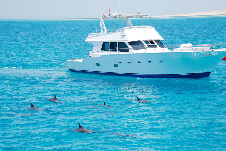 Hurghada or Makadi: Discover the Magic of Dolphin House Pick up from Makadi Bay - Dolphin House