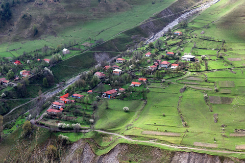 Tbilisi: Dagsutflykt till Ananuri, Gudauri och Kazbegi