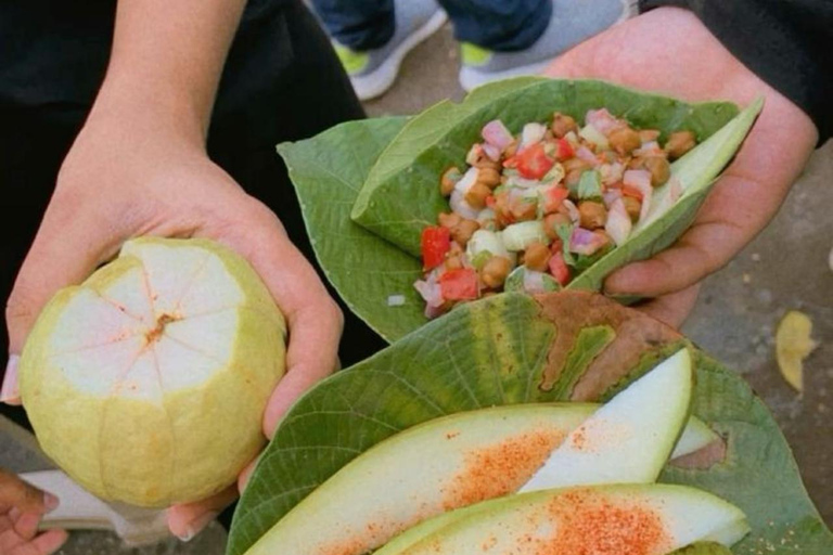 Mumbai: Kanheri Caves Guided Tour Kanheri Caves+Temple+Village+Tiger safri ( pickup & drop)