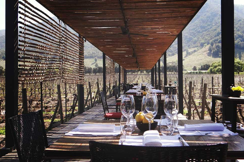 Valle de Colchagua: Tour del Vino de 2 Días con Hotel