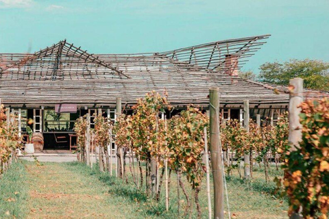 Buenos Aires: Casa Gamboa Winery Tour with Lunch & Wine