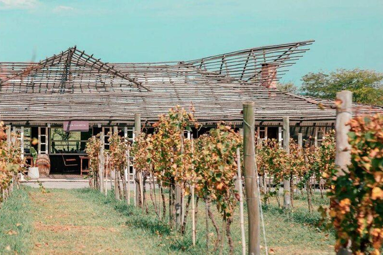 Buenos Aires: Casa Gamboa Winery Tour with Lunch & Wine