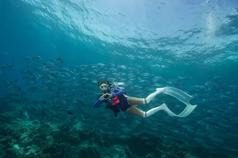 Fisheye dykare: Avancerad kurs i öppet vatten