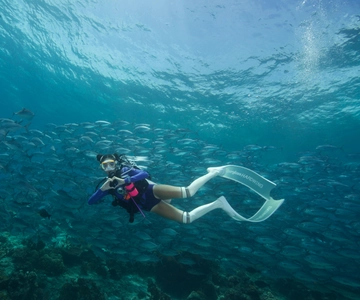 Fisheye Divers: Advanced Open Water Course