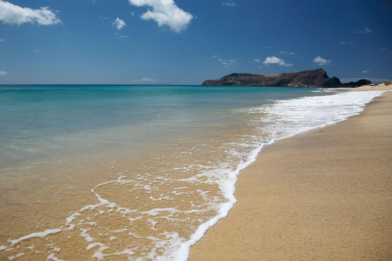 Z Funchal: 1-dniowy rejs i wycieczka na wyspę Porto SantoZ Funchal: 1-dniowy rejs wycieczkowy do Porto Santo