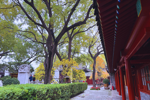 Beijing：Hutong Museum Cluster Tour—Culture, Temples & Life