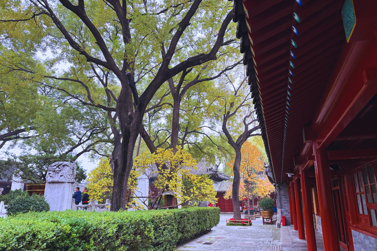 Beijing：Hutong Museum Cluster Tour—Culture, Temples & Life