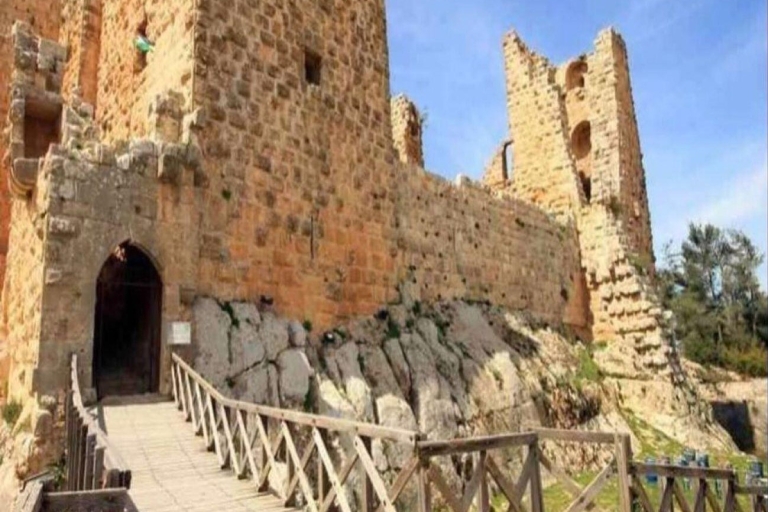 Excursion d'une journée : Jerash et le château d'Ajloun depuis AmmanExcursion d'une journée : Jerash - Château d'Ajloun depuis Amman
