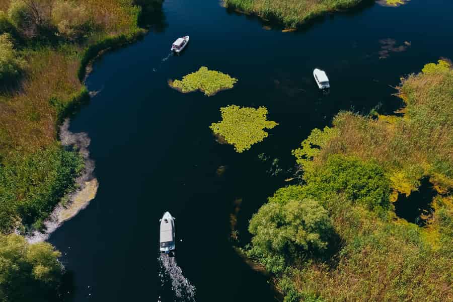 Ab Constanța: Donaudelta-Tagestour mit Bootstour & Mittagessen. Foto: GetYourGuide Ab Constanța: Donaudelta-Tagestour mit Bootstour & Mittagessen. Foto: GetYourGuide