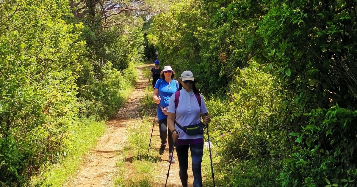 Walking Through Ancient Konavle Villages with a Tasty Finish | GetYourGuide