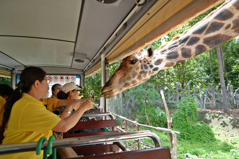 Ticket de entrada con acceso completo al safari nocturno de Chiang Mai y servicio de recogida opcionalOpción A: Ticket de entrada con acceso completo al safari nocturno sin servic