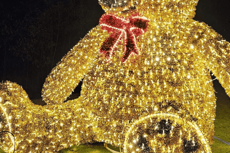 Derry, NH: LaBelle Lights Holiday Light Show Entry Ticket