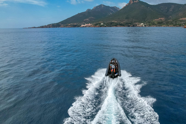 From Cannes: Essential Calanques de l'Estérel Sea Excursion