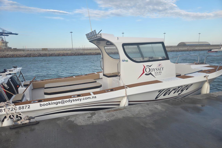 Walvis Bay: Intimate Marine Wildlife Cruise