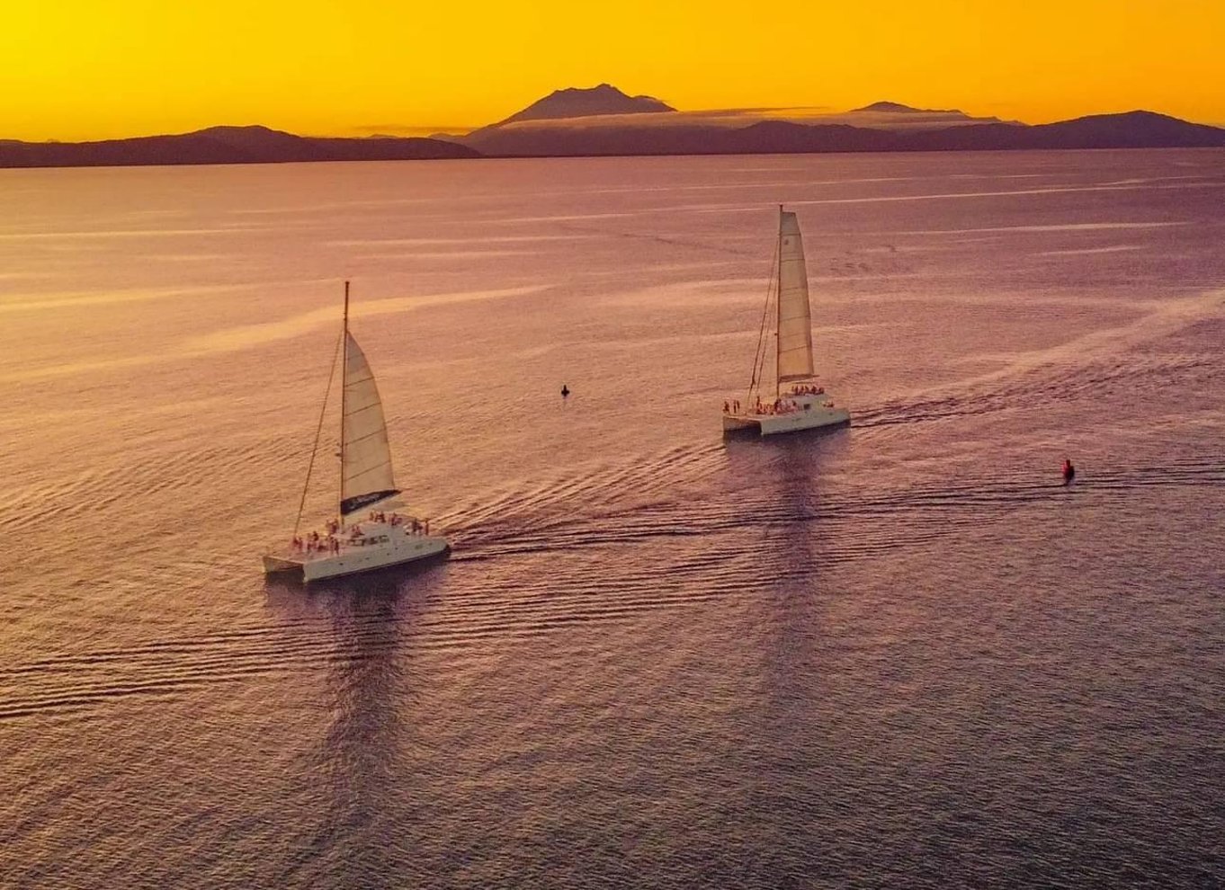 Port Douglas: Sejltur i solnedgang på luksuskatamaran