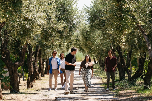 Rom auf dem Land: Wine Tasting Tour mit privatem Fahrer