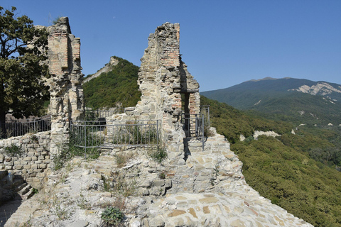 Tbilisi: Unique Kakheti Tour: Telavi, Winery & Monasteries