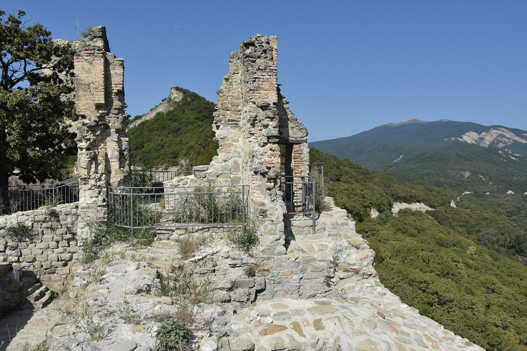 Tbilisi: Unique Kakheti Tour: Telavi, Winery & Monasteries