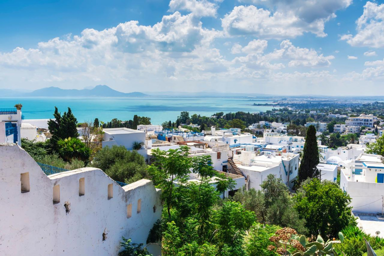 Explore Tunis, Carthage, Sidi Bousaid &amp; Hammamet from Sousse