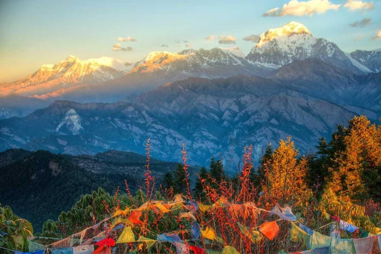 Poon Hill: Najszybszy 2-dniowy trekking z PokharyZ Pokhary: 2 dni 1 noc Ulleri, Ghorepani Poon Hill Trek