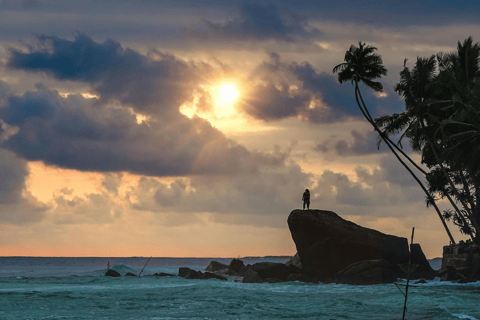 Galle Private City Tour with Fort, Beaches & Turtle Hatchery